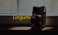 Lingumi